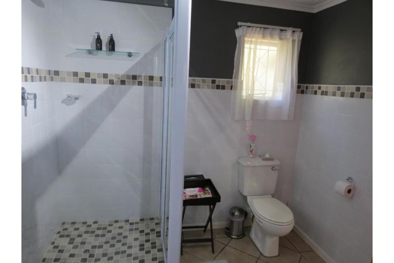 1 on Ross Apartment, Grahamstown - imaginea 13