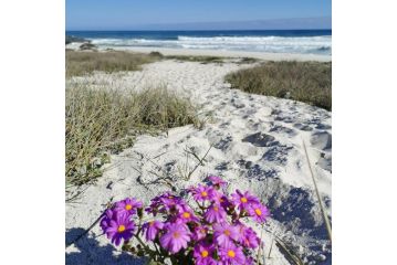 189 Casa del Playa (3 bedrooms) Guest house, Yzerfontein - 4