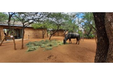 462 Bosbok Chalets Apartment, Marloth Park - 5
