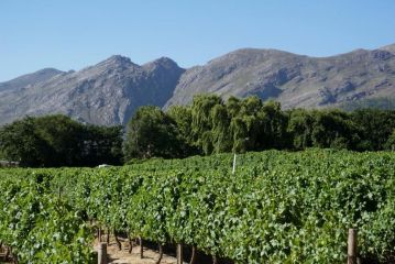 5 Pierre Jourdan Guest house, Franschhoek - 5