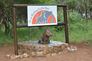 515 on Warthog by the River Guest house, Marloth Park - 1
