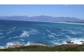65onCliff Guest house, Gansbaai - 1