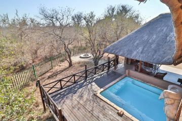 Adventure Bush House Guest house, Marloth Park - 3