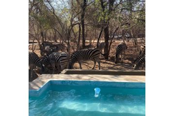 African Bush Adventurers-your home away from home. Guest house, Marloth Park - 3
