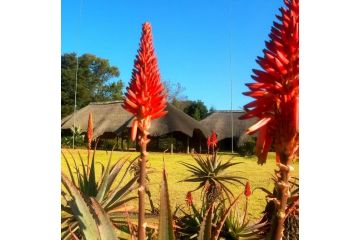 African Flair Country Lodge Bed and breakfast, Piet Retief - 5