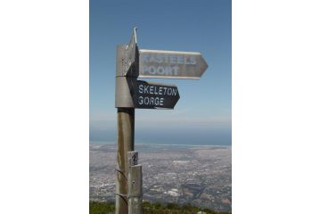 Alba House Guest house, Paarl - 5