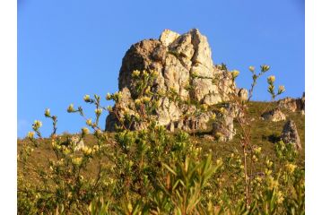 Alba House Guest house, Paarl - 1