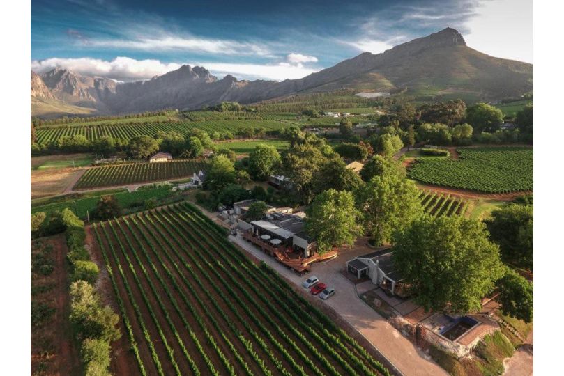 Alluvia Boutique Winery & Luxury Accommodation Guest house, Stellenbosch - imaginea 9