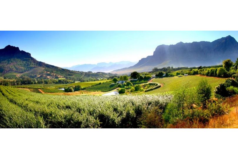 Alluvia Boutique Winery & Luxury Accommodation Guest house, Stellenbosch - imaginea 16