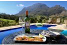 Alluvia Boutique Winery & Luxury Accommodation Guest house, Stellenbosch - thumb 4