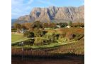 Alluvia Boutique Winery & Luxury Accommodation Guest house, Stellenbosch - thumb 10