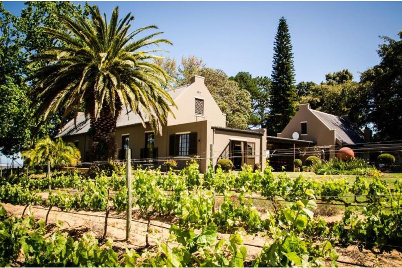 Lavinia Lifestyle Farm stay, Stellenbosch - imaginea 19