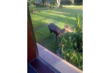 Apartment at Kaaimanskop Estate with panoramic views Apartment, Wilderness - 3