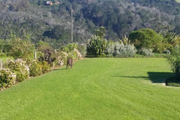 Apartment at Kaaimanskop Estate with panoramic views Apartment, Wilderness - 5
