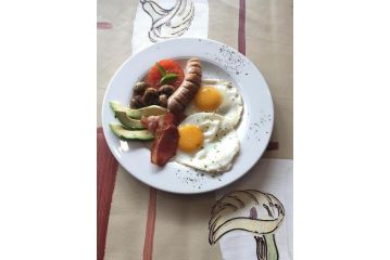 Asante Guest house, Vanderbijlpark - 5