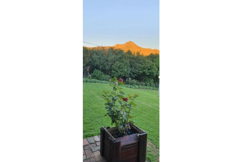 Ash River Lodge Bed and breakfast, Clarens - imaginea 10