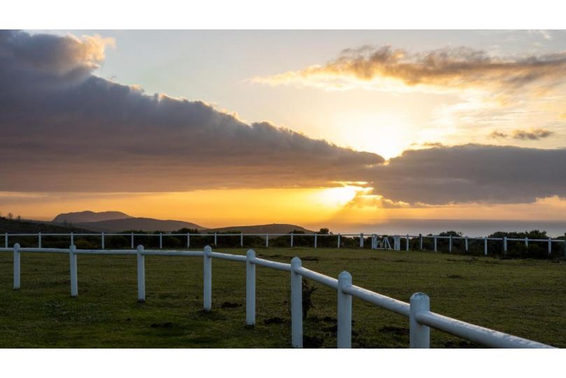 T'Niqua Stables & Lodge Guest house, Plettenberg Bay - imaginea 2