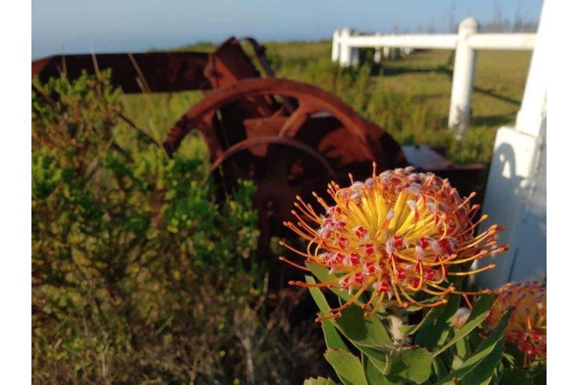 T'Niqua Stables & Lodge Guest house, Plettenberg Bay - imaginea 14