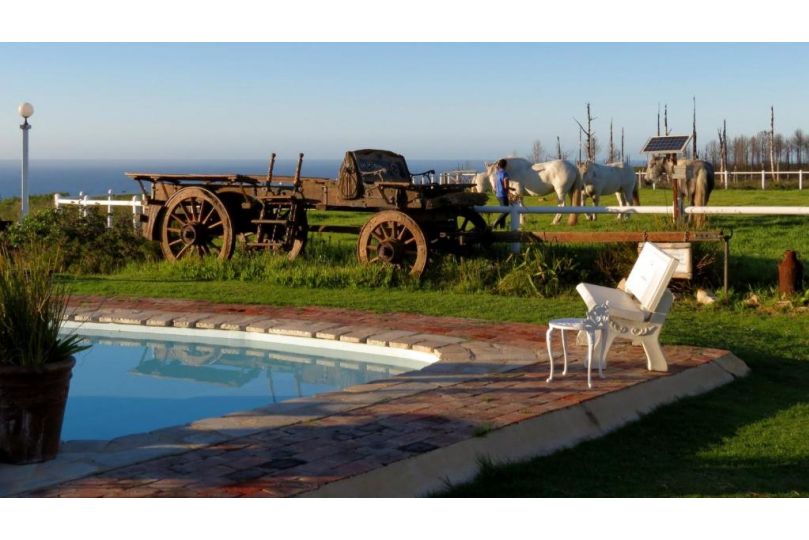 T'Niqua Stables & Lodge Guest house, Plettenberg Bay - imaginea 7