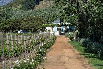 Auberge Clermont Guest house, Franschhoek - 4