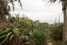 Misty Blue Bed and breakfast, Durban - thumb 10