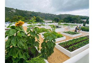 Barrington's Hotel, Plettenberg Bay - 1