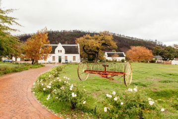 Basse Provence Country House Bed and breakfast, Franschhoek - 2