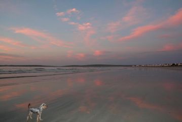 Baywatch Paternoster - The Cottage Guest house, Paternoster - 1