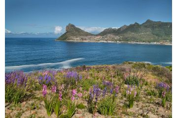 Beach Club Villa Hout Bay Guest house, Hout Bay - 4