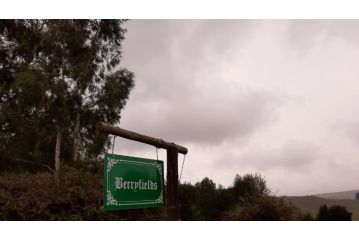 Berryfields Apartment, Dullstroom - 1