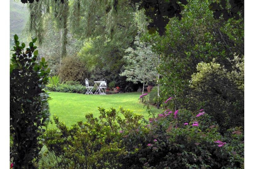 Birches Cottage & the Willows Garden Room Hotel, Underberg - imaginea 15