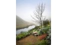 Birches Cottage & the Willows Garden Room Hotel, Underberg - thumb 17