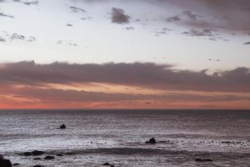 Blaaskans Bed and breakfast, St Helena Bay - 3