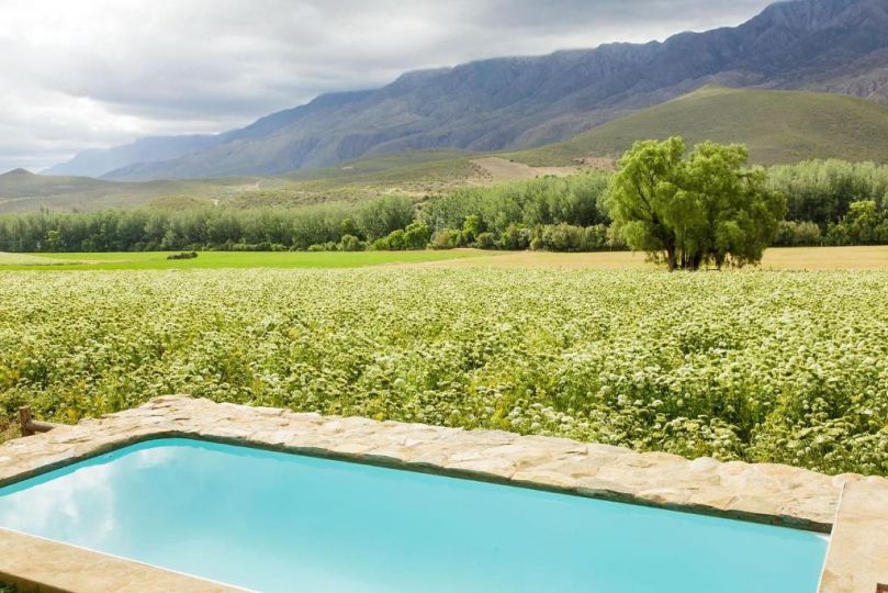 Blue Lily Retreat Bed and breakfast, Matjiesrivier - imaginea 16