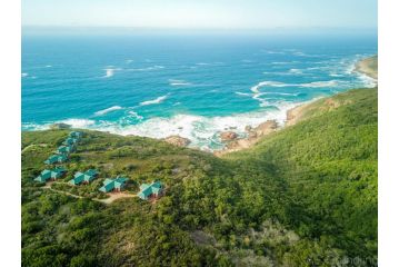 Blue Whale Resort Accomodation, George - 2