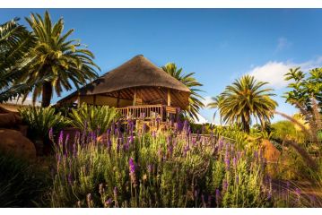 Bolivia Lodge Hotel, Polokwane - 2