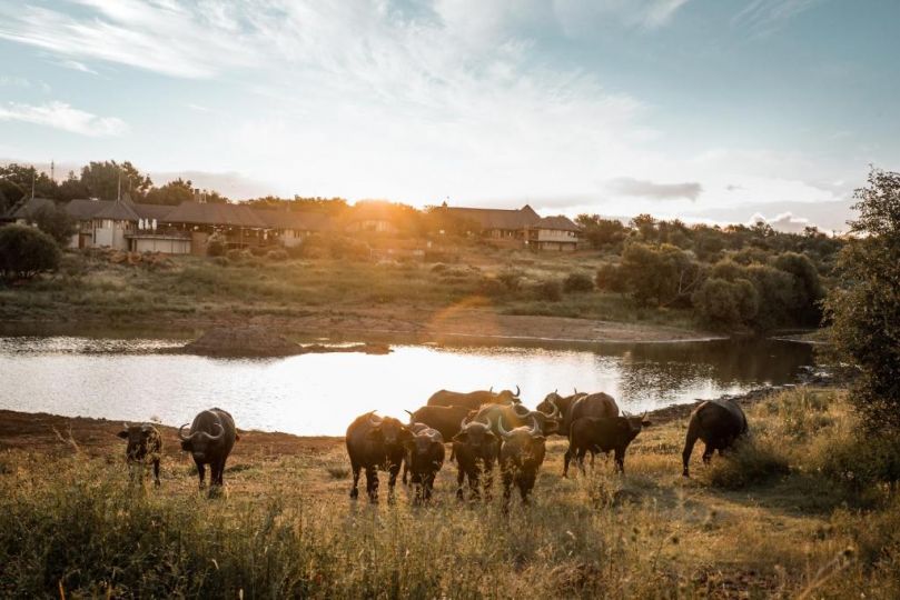 Bona Bona Game Lodge Hotel, Wolmaransstad - imaginea 10