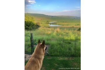 Bottlebrush Stone Cottage Apartment, Dullstroom - 2