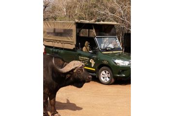 Boulders Safari Lodge Hotel, Malelane - 2