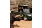 Boulders Safari Lodge Hotel, Malelane - thumb 2
