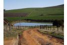 Brambleberry Farm Farm stay, Riebeek-Kasteel - thumb 10