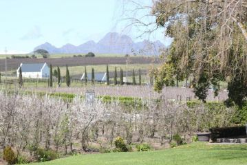 Brenaissance Wine & Stud Estate Hotel, Stellenbosch - 5