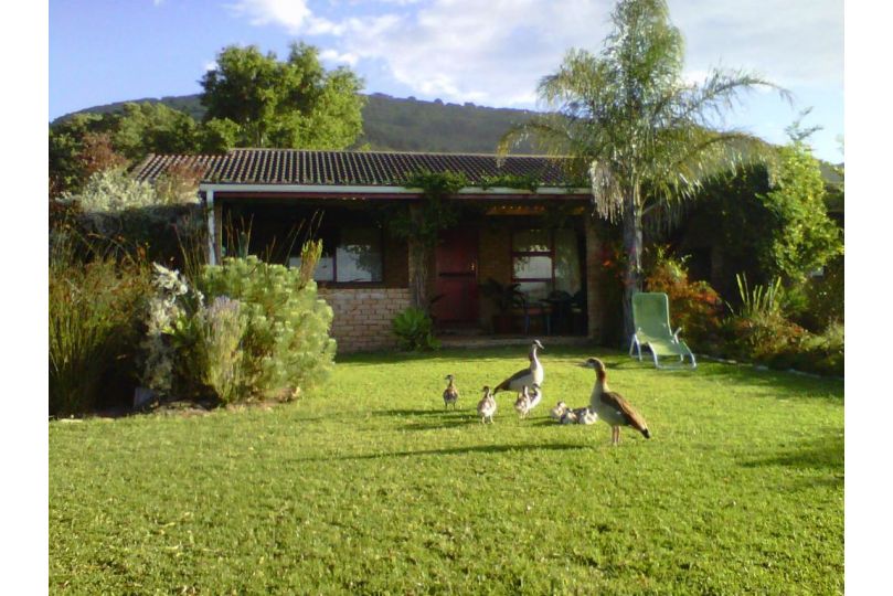 Brenton Lake Holiday Cottages Accomodation, Brenton-on-Sea - imaginea 10