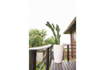 Bright Surfer's Cottage Guest house, Jeffreys Bay - 4