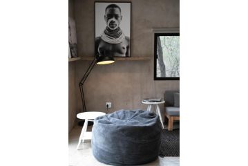 Buffalo Bone Suite Hotel, Marloth Park - 5