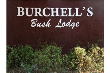 Burchell's Bush Lodge Chalet, Sabi Sand Game Reserve - 4