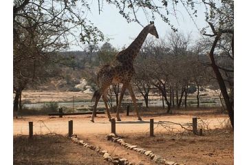 Bush Cottage Apartment, Marloth Park - 5