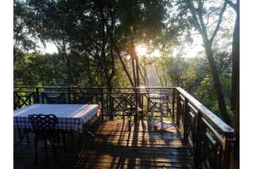 Cabbage Tree Cottage Bed and breakfast, Hilton - 2