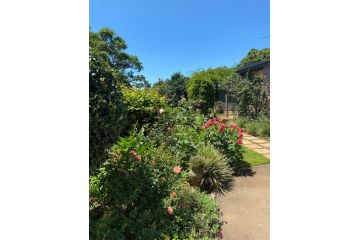 Cabbage Tree Cottage Bed and breakfast, Hilton - 3