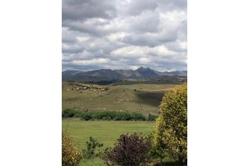 Caledon Country House Guest house, Clarens - 4